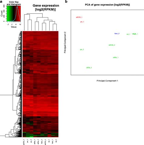 Image result for Python Heatmap RNA-Seq