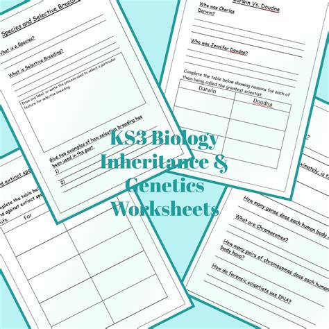 Genetics and Inheritance Worksheet 的图像结果