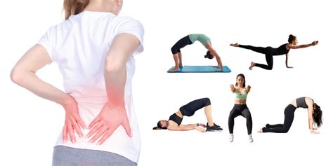 Image result for Lower Back Pain Exercise