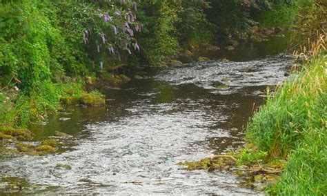 Leixlip Tourism (2021): Best of Leixlip, Ireland - Tripadvisor