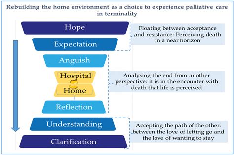 Meanings and Experiences of End-of-Life Patients and Their Family ...