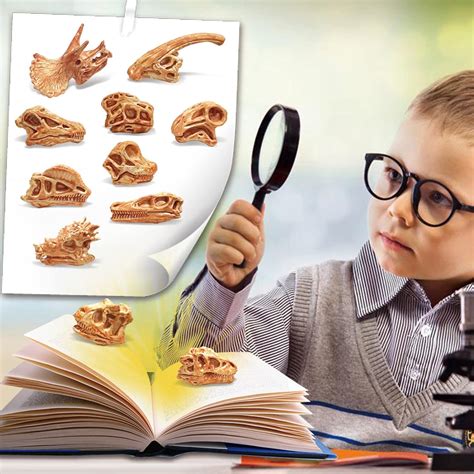 LC JoyCre 11PCS Mini Dinosaur Bones for Sandbox Kids | Ubuy India