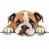 Image result for Cockapoo Stylised Drawing