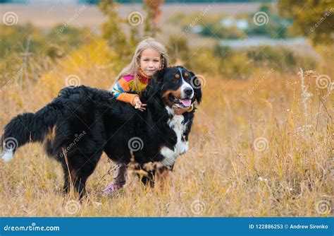 Girl Hugs a Dog, on Walk with Her Four-legged Friend Stock Image ...