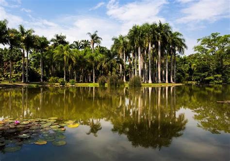 2023中科院西双版纳热带植物园-旅游攻略-门票-地址-问答-游记点评，勐腊旅游旅游景点推荐-去哪儿攻略