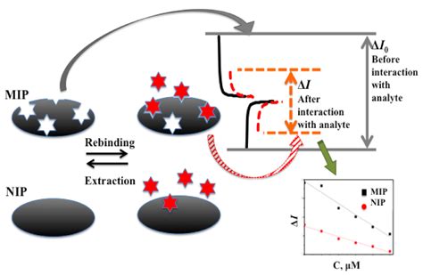 Electrochemically Deposited Molecularly Imprinted Polymer-Based Sensors