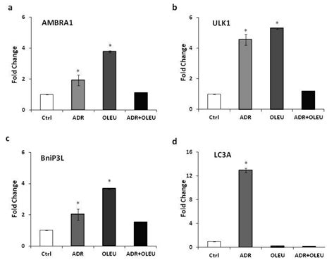 Assessment of the Nutraceutical Effects of Oleuropein and the Cytotoxic ...