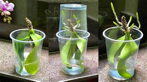 Image result for Life Hacks Craft