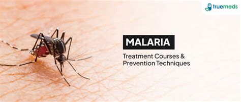 Herpes Labialis: Causes, Symptoms & Treatment