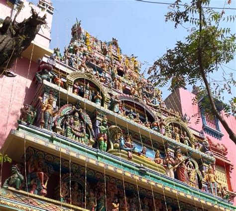 Matunga 的图像结果