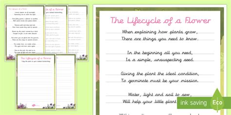 Life Cycle of a Plant Handwriting Poem (teacher made)