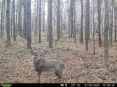 Oktibbeha 37.83 | Oktibbeha County | Sturgis, MS