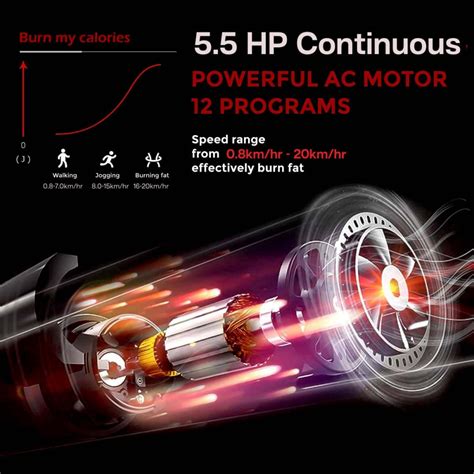 STC-5775 (5.5 HP AC Motor) Automatic Motorized Walking and Running ...