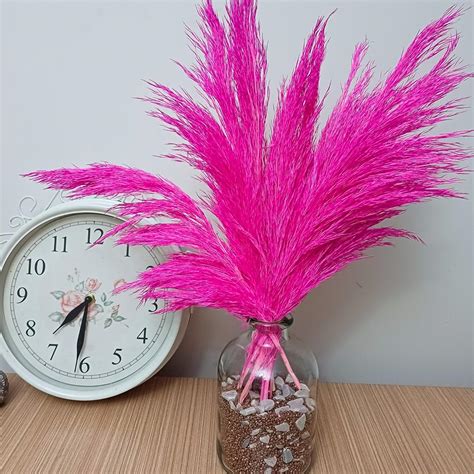 Amazon.com: Fuchsia Pink Pampas Grass Decor, Natural Dried Flowers, 17 ...