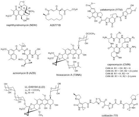 Newly Discovered Mechanisms of Antibiotic Self-Resistance with Multiple ...