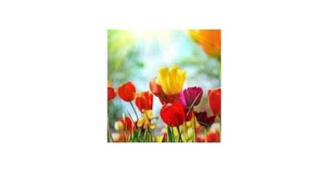 Katherine Joan Douglas Obituary (2025) - Shelbyville, TN - Feldhaus ...