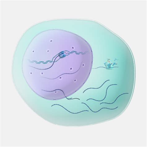 Image result for Genome Expression