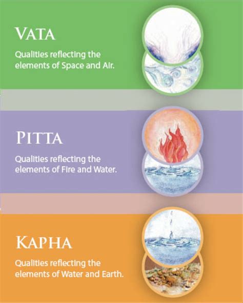Vata Pitta Kapha Test – Amrutam