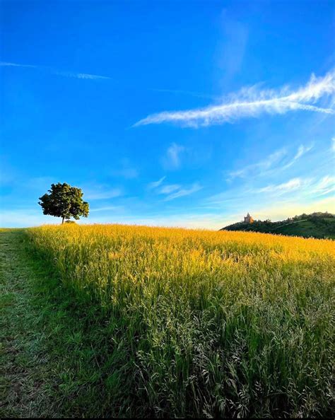 *Dal Barazzo a Sabbiuno a trovare i Partigiani* 5 Edizione , Barazzo ...