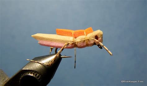 Image result for Morrish Hopper Fly Pattern