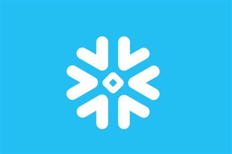 Image result for Hub Network Snowflake Logo