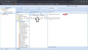 Beef Tutorial 的图像结果