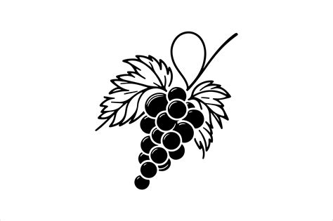 Grape Outline Vector Clipart Graphic by SKShagor Barmon · Creative Fabrica