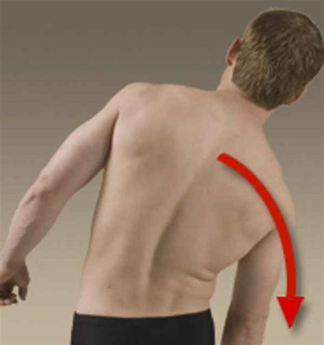 Image result for Contralateral Lateral Flexion