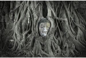 Buddha In Tree Roots At Ayutthaya Thailand Unframed Paper Poster 18inch ...