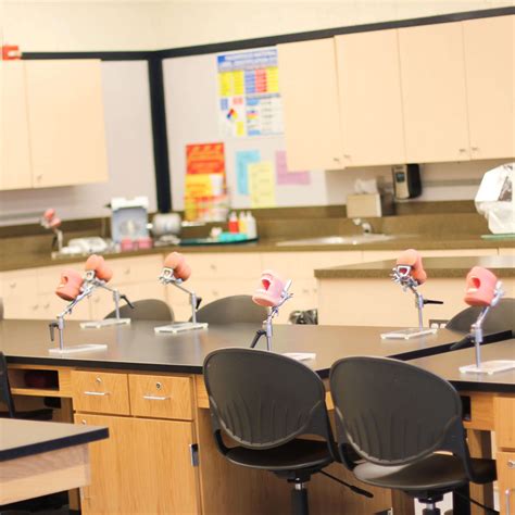 Dental Assisting - Southeastern Technical Institute