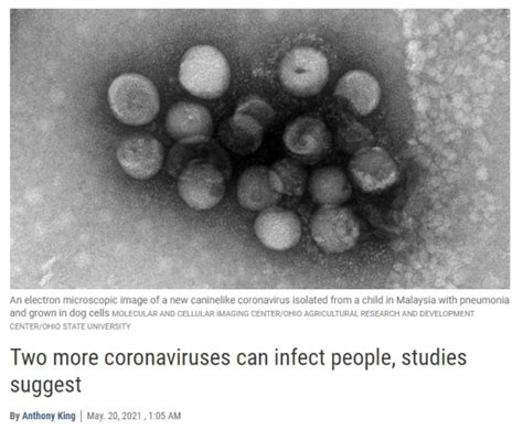 新型病毒更致命？这部BBC纪录片揭露了病毒“真实的杀伤力” - 周到上海