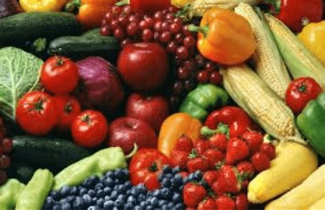 Healthy Organic Food 的图像结果