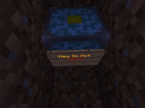 Image result for How to Build a Nether Reactor Core