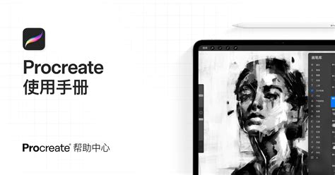 Color Jitter Procreate 的图像结果