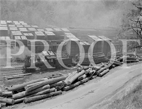 ORIG 4x5 B/W NEGATIVE Ely Thomas Lumber Company Shay WV Yard Scene 1960 ...