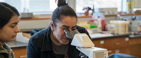 Image result for Best Science Degrees