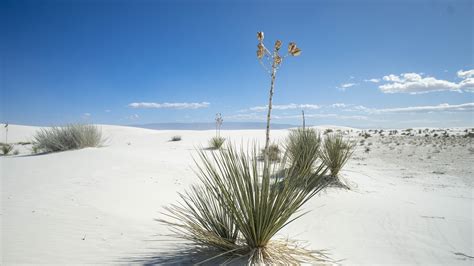 White Sands National Park – Travel Guide - Journey to All National Parks