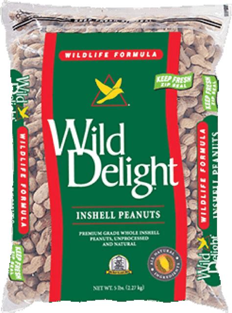 Amazon.com : THE AMISH ECO-FARM | Fancy Size | Bulk Raw Peanuts in Shell, Virginia Grown ...