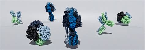 Image result for Higher Complex Structure