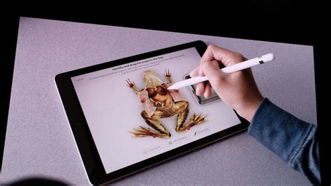 These 10 Apple Pencil hacks will transform your iPad experience ...
