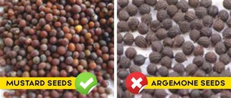 41 Ingenious Ways To Quickly Detect Adulteration In The Most Common ...