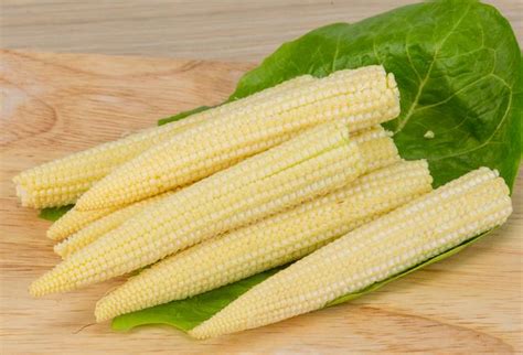 Home [satvicfoods.in]