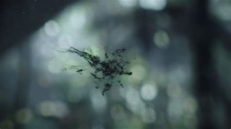 Image result for Alien Covenant Neomorph Burs