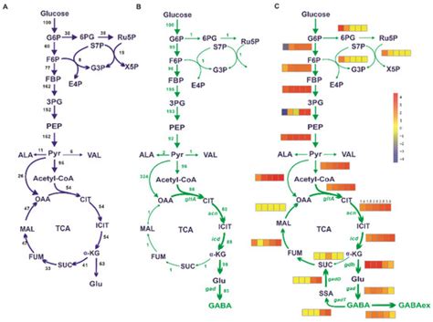 Biology | Special Issue : Bio-Based Chemicals Biosynthesis and ...