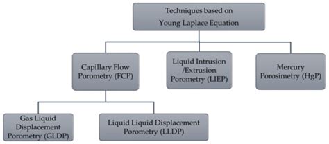 Comparison of Capillary Flow Porometry (CFP) and Liquid Extrusion ...