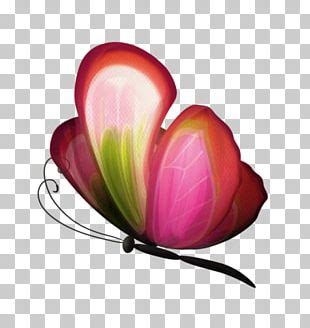 Computer Environment Icon 的图像结果