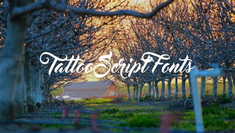 FREE 21+ Tattoo Script Fonts in TTF | OTF