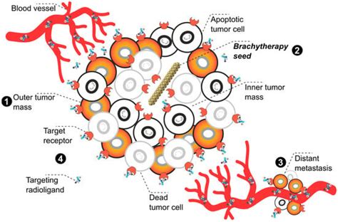 Future Treatment Strategies for Cancer Patients Combining Targeted ...