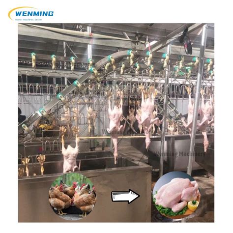 Chicken Processing Machines 的图像结果