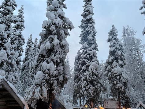 RAMI'S HUSKIES (2026) All You Need to Know BEFORE You Go (with Photos ...